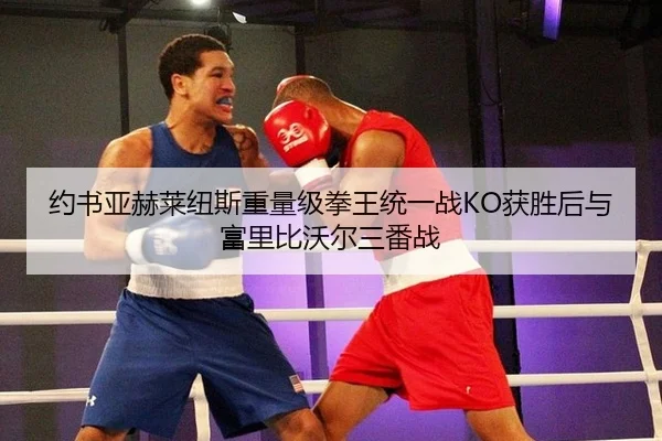 约书亚赫莱纽斯重量级拳王统一战KO获胜后与富里比沃尔三番战